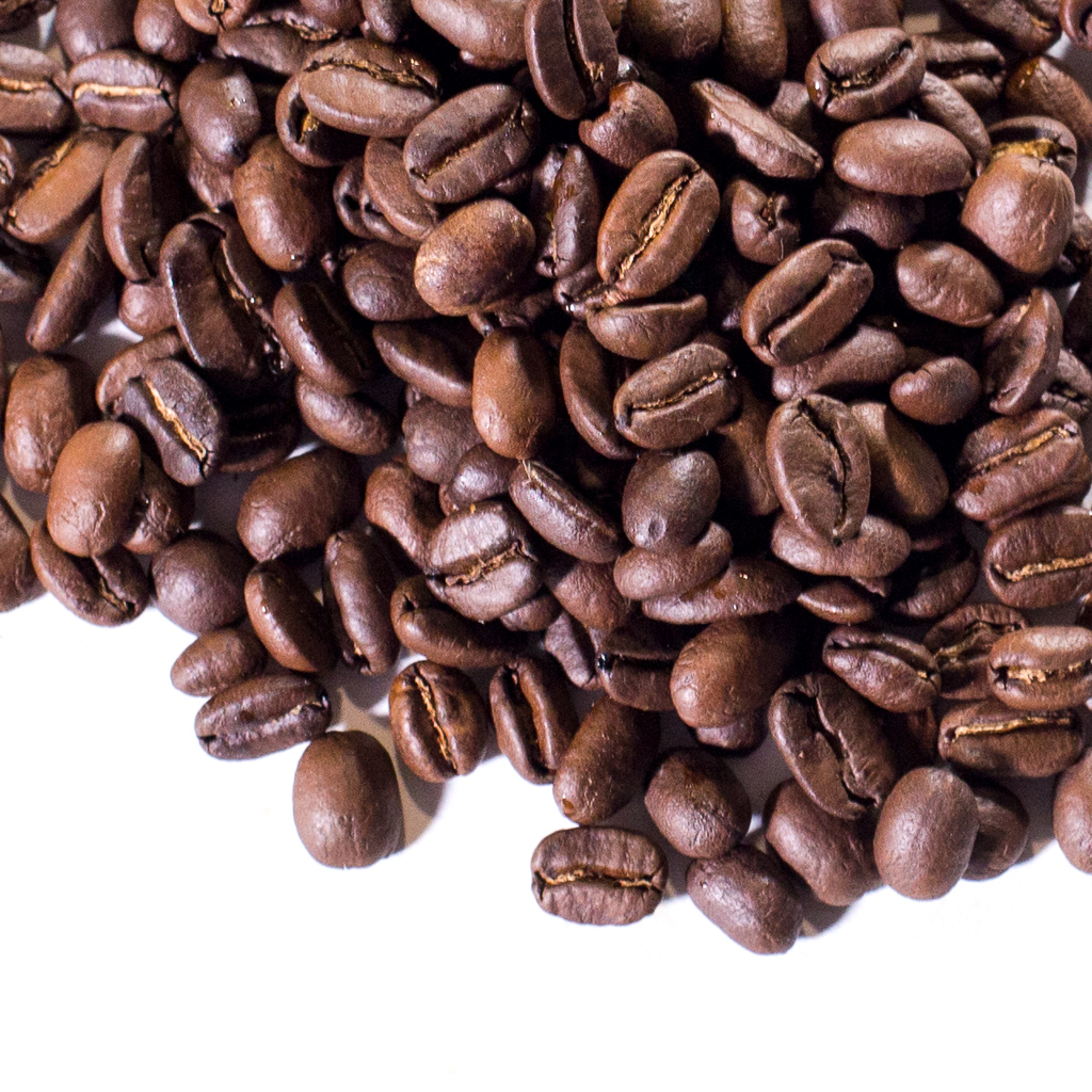 Organic Fair Trade Papua New Guinea Medium Friedrichs
